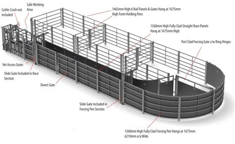 cattle loading chute dimensions|Handling Facilities for Beef Cattle